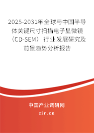 2025-2031年全球與中國半導體關鍵尺寸掃描電子顯微鏡（CD-SEM）行業(yè)發(fā)展研究及前景趨勢分析報告