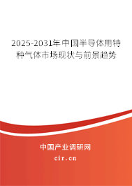 2025-2031年中國(guó)半導(dǎo)體用特種氣體市場(chǎng)現(xiàn)狀與前景趨勢(shì)