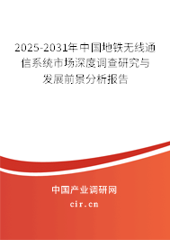 2025-2031年中國地鐵無線通信系統(tǒng)市場深度調(diào)查研究與發(fā)展前景分析報告