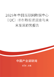 2025年中國互聯(lián)網(wǎng)數(shù)據(jù)中心（IDC）IT市場現(xiàn)狀調(diào)查與未來發(fā)展趨勢報(bào)告
