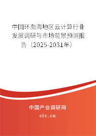 中國(guó)環(huán)渤海地區(qū)云計(jì)算行業(yè)發(fā)展調(diào)研與市場(chǎng)前景預(yù)測(cè)報(bào)告（2025-2031年）