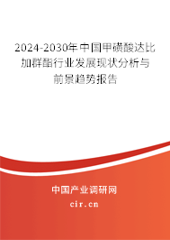 2024-2030年中國甲磺酸達比加群酯行業(yè)發(fā)展現(xiàn)狀分析與前景趨勢報告