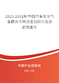 2025-2031年中國汽車安全氣囊模具市場深度調(diào)研與發(fā)展趨勢報告