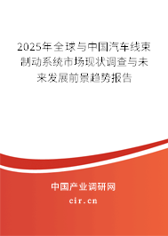 2024年全球與中國汽車線束制動系統(tǒng)市場現(xiàn)狀調查與未來發(fā)展前景趨勢報告