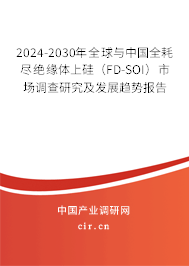 2024-2030年全球與中國(guó)全耗盡絕緣體上硅（FD-SOI）市場(chǎng)調(diào)查研究及發(fā)展趨勢(shì)報(bào)告