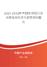 2025-2031年中國水體銅污染治理發(fā)展現(xiàn)狀與趨勢預測報告