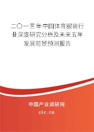 二〇一三年中國體育服裝行業(yè)深度研究分析及未來五年發(fā)展前景預(yù)測報告