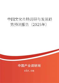 中國文化市場調(diào)研與發(fā)展趨勢預測報告（2025年）
