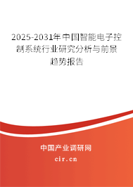2025-2031年中國(guó)智能電子控制系統(tǒng)行業(yè)研究分析與前景趨勢(shì)報(bào)告
