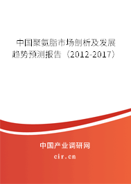 中國(guó)聚氨脂市場(chǎng)剖析及發(fā)展趨勢(shì)預(yù)測(cè)報(bào)告（2012-2017）