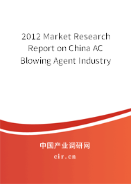 2012 Market Research Report on China AC Blowing Agent Industry