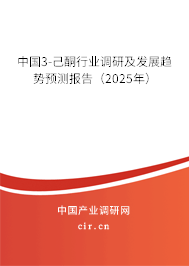中國3-己酮行業(yè)調(diào)研及發(fā)展趨勢預測報告（2025年）