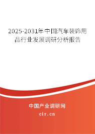 2025-2031年中國汽車裝飾用品行業(yè)發(fā)展調研分析報告