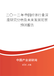二〇一二年中國纖體行業(yè)深度研究分析及未來發(fā)展前景預(yù)測(cè)報(bào)告