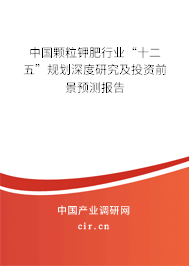 中國顆粒鉀肥行業(yè)“十二五”規(guī)劃深度研究及投資前景預(yù)測報(bào)告 中國顆粒鉀肥行業(yè)“十二五”規(guī)劃深度研究及投資前景預(yù)測報(bào)告