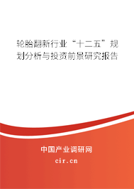 輪胎翻新行業(yè)“十二五”規(guī)劃分析與投資前景研究報(bào)告