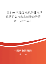中國(guó)8kw汽油發(fā)電機(jī)行業(yè)市場(chǎng)現(xiàn)狀研究與未來(lái)前景趨勢(shì)報(bào)告（2025年）