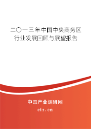 二〇一三年中國中央商務區(qū)行業(yè)發(fā)展回顧與展望報告