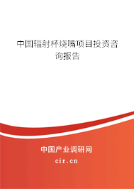 中國輻射杯燒嘴項目投資咨詢報告