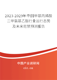 2023-2029年中國甲基丙烯酸二甲氨基乙酯行業(yè)運行態(tài)勢及未來前景預測報告