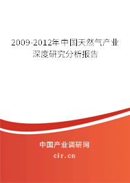 2009-2012年中國天然氣產(chǎn)業(yè)深度研究分析報告