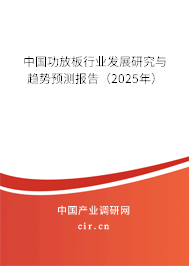 中國功放板行業(yè)發(fā)展研究與趨勢預測報告（2025年）