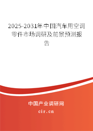 2025-2031年中國(guó)汽車用空調(diào)零件市場(chǎng)調(diào)研及前景預(yù)測(cè)報(bào)告