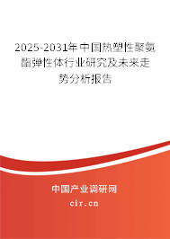 2025-2031年中國(guó)熱塑性聚氨酯彈性體行業(yè)研究及未來(lái)走勢(shì)分析報(bào)告