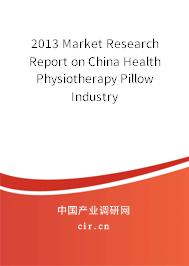 2013 Market Research Report on China Health Physiotherapy Pillow Industry