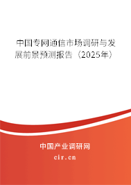 中國(guó)專網(wǎng)通信市場(chǎng)調(diào)研與發(fā)展前景預(yù)測(cè)報(bào)告（2025年）
