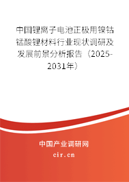 中國鋰離子電池正極用鎳鈷錳酸鋰材料行業(yè)現(xiàn)狀調(diào)研及發(fā)展前景分析報告（2025-2031年）