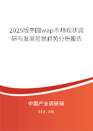 2025版中國wap市場現狀調研與發(fā)展前景趨勢分析報告