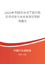 2025年中國(guó)無(wú)水叔丁醇市場(chǎng)現(xiàn)狀調(diào)查與未來(lái)發(fā)展前景趨勢(shì)報(bào)告