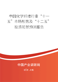 中國化學(xué)纖維行業(yè)“十一五”市場形勢及“十二五”投資前景預(yù)測報(bào)告 中國化學(xué)纖維行業(yè)“十一五”市場形勢及“十二五”投資前景預(yù)測報(bào)告