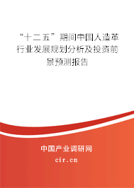“十二五”期間中國人造革行業(yè)發(fā)展規(guī)劃分析及投資前景預測報告