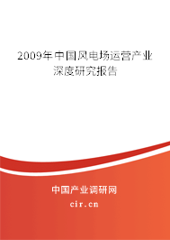 2009年中國風(fēng)電場運(yùn)營產(chǎn)業(yè)深度研究報(bào)告