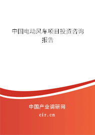 中國(guó)電動(dòng)風(fēng)車項(xiàng)目投資咨詢報(bào)告