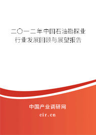 二〇一二年中國(guó)石油勘探業(yè)行業(yè)發(fā)展回顧與展望報(bào)告