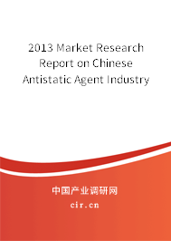 2013 Market Research Report on Chinese Antistatic Agent Industry