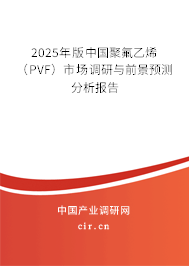 2025年版中國聚氟乙烯（PVF）市場調(diào)研與前景預(yù)測分析報(bào)告