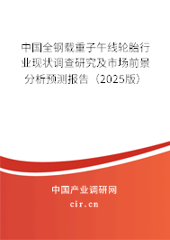 中國全鋼載重子午線輪胎行業(yè)現(xiàn)狀調(diào)查研究及市場前景分析預測報告（2025版）