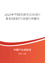 2025年中國(guó)無(wú)刷無(wú)齒電機(jī)行業(yè)發(fā)展回顧與展望分析報(bào)告