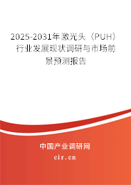 2025-2031年激光頭（PUH）行業(yè)發(fā)展現(xiàn)狀調(diào)研與市場前景預(yù)測報告