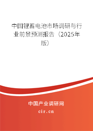 中國鋰蓄電池市場調(diào)研與行業(yè)前景預(yù)測報告（2025年版）