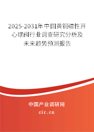 2025-2031年中國(guó)黃銅磁性開(kāi)心球閥行業(yè)調(diào)查研究分析及未來(lái)趨勢(shì)預(yù)測(cè)報(bào)告