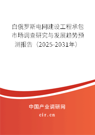 白俄羅斯電網(wǎng)建設(shè)工程承包市場(chǎng)調(diào)查研究與發(fā)展趨勢(shì)預(yù)測(cè)報(bào)告（2025-2031年）