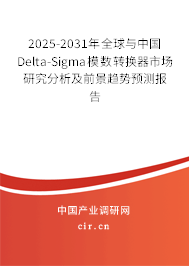 2025-2031年全球與中國Delta-Sigma模數(shù)轉(zhuǎn)換器市場研究分析及前景趨勢預(yù)測報告