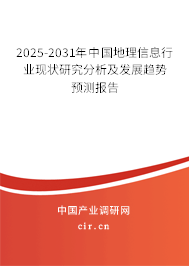 2025-2031年中國地理信息行業(yè)現(xiàn)狀研究分析及發(fā)展趨勢預測報告