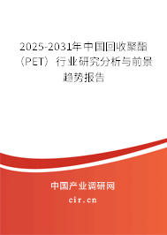 2025-2031年中國回收聚酯(PET)行業(yè)研究分析與前景趨勢報告 2025-2031年中國回收聚酯(PET)行業(yè)研究分析與前景趨勢報告