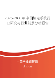 2025-2031年中國腦電系統(tǒng)行業(yè)研究與行業(yè)前景分析報告